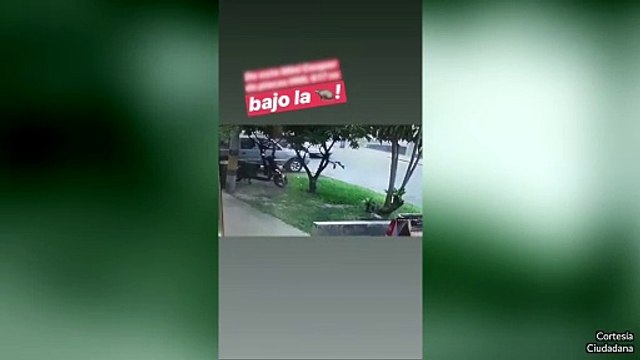 29-08-18 Desde otro vehiculo se habria bajado un senalado ladron para robar un carro particular