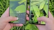 FbVideo_1711321225504