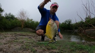 Pesca en la Boca de un Arroyo, Aventura por el Monte y Mojarreando Bajo la Lluvia, Pesca De Barrio