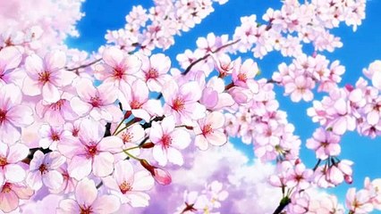 Senpai is an Otokonoko - Official Trailer