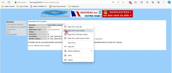 Hacxx DDOS XMLHTTPREQUEST JS Bookmarklet Attack - Manipulating a simple website counter