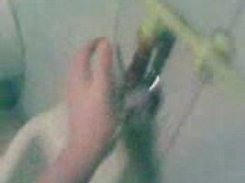 VID015