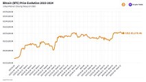 BITCOIN (BTC) Price Evolution (Daily/USD) 2023-2024 #crypto #bitcoin #pricechart