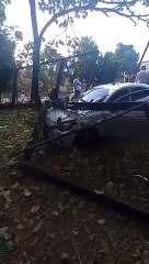 Borracho se choco en el Jardin Botanico