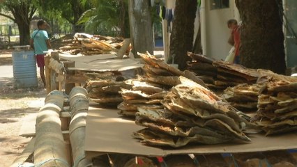 Desde hace 100 años se realiza la Feria del Pesca'o Seco en Veraguas