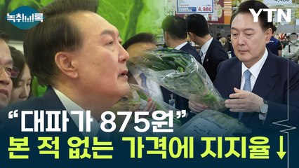 野 "尹, 민생 파탄"...'875원' 대파가 불러온 파장 [Y녹취록] / YTN