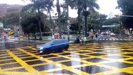 Cayo un arbol sobre un bus en El Salvador