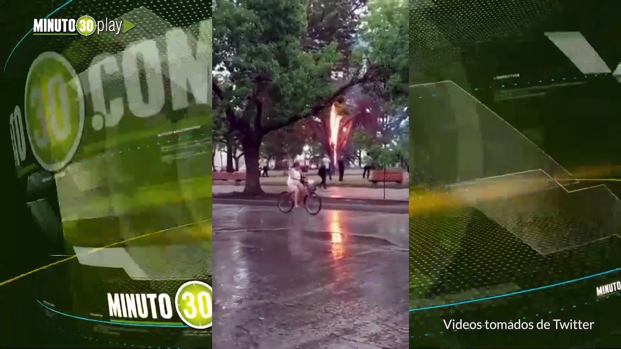 Un rayo cayó sobre un árbol, lo partió y prendió fuego Argentina