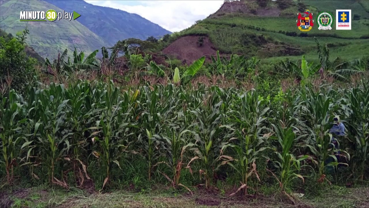Ocupados con fines de extinción de dominio bienes avaluados en más de 13.600 millones de pesos