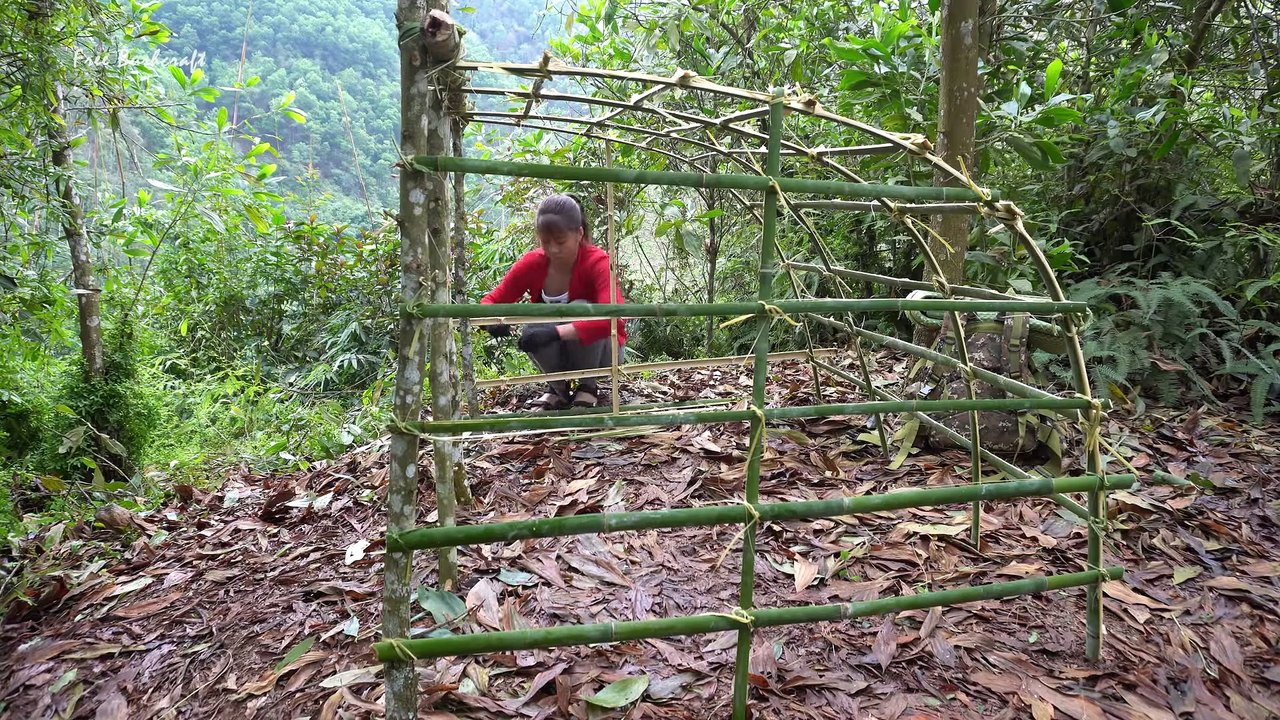 Buiding survival shelter in the forest, Bushcraft cooking delicious   Free bushcraft Ep.63