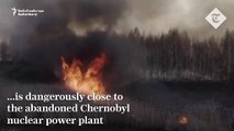 Los niveles de radiación aumentan cuando se desata un gran incendio forestal cerca de la planta de energía nuclear #Chernobyl en Ucrania