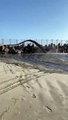 Contamina Playa en el municipio de Playas de Rosarito por parte de la termoeléctrica de CFE.