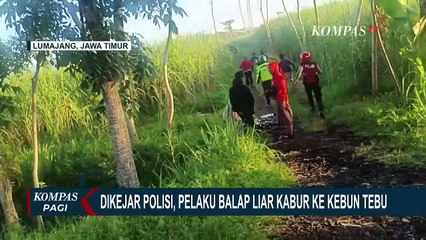 Download Video: Dikejar Polisi, Pelaku Balap Liar di Lumajang Kabur ke Kebun Tebu