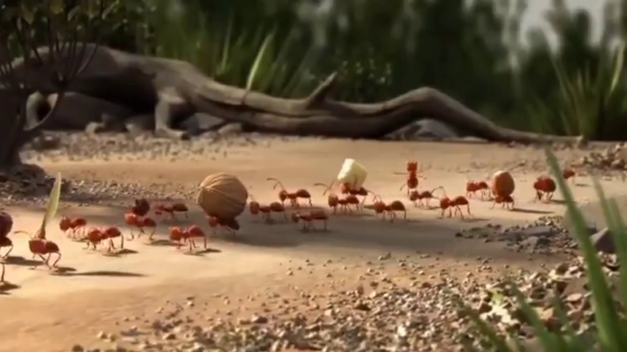 "Together We Can: Experience the Magic of Teamwork in Our Reel Journey"