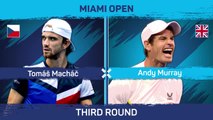 Murray suffers agonising defeat to Machac