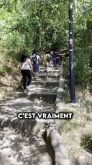 Une activité gratuite à faire dans les Yvelines