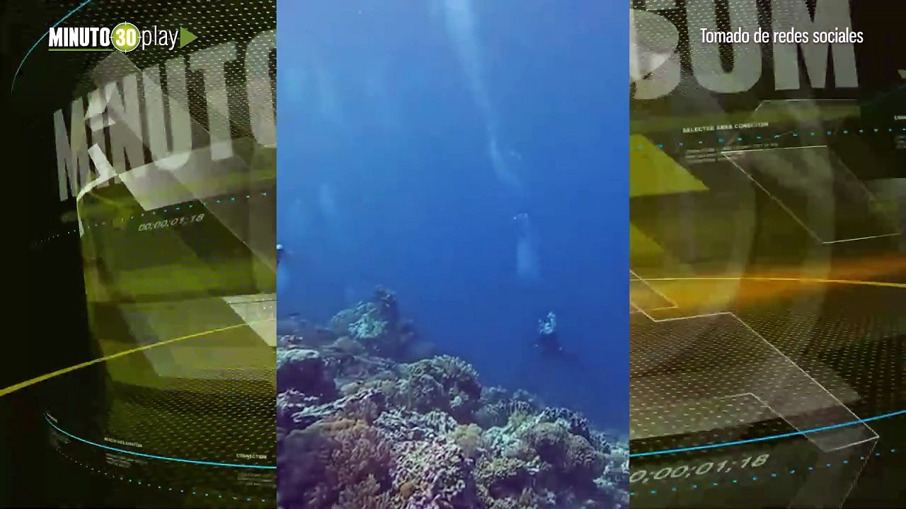 Susto de infarto buzos captaron un terremoto de 7.1 bajo las aguas de Indonesia