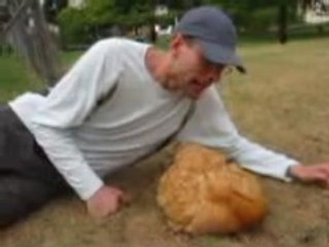 Fais dodo la poule !