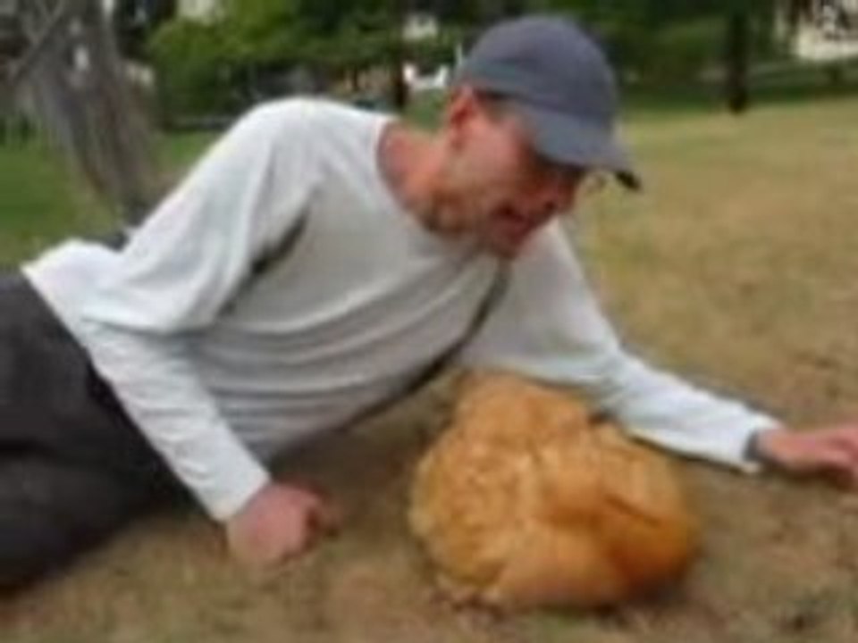 Fais dodo la poule !