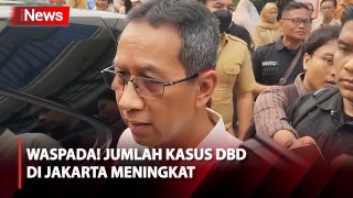 Pemprov DKI Jakarta: Kasus DBD di Jakarta Meningkat, Terbanyak di Jakarta Selatan