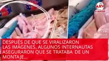 Captan a una rana zombie en mercado de China y los usuarios se llenan de terror