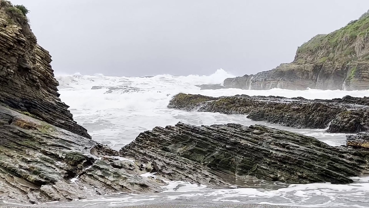 Spooner's Cove