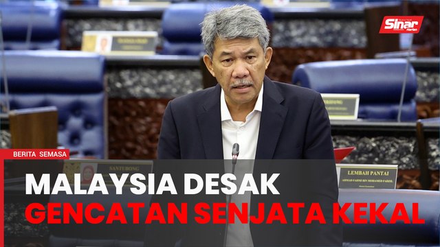 Isu Palestin: Malaysia guna segala pentas dunia, hubungan diplomasi