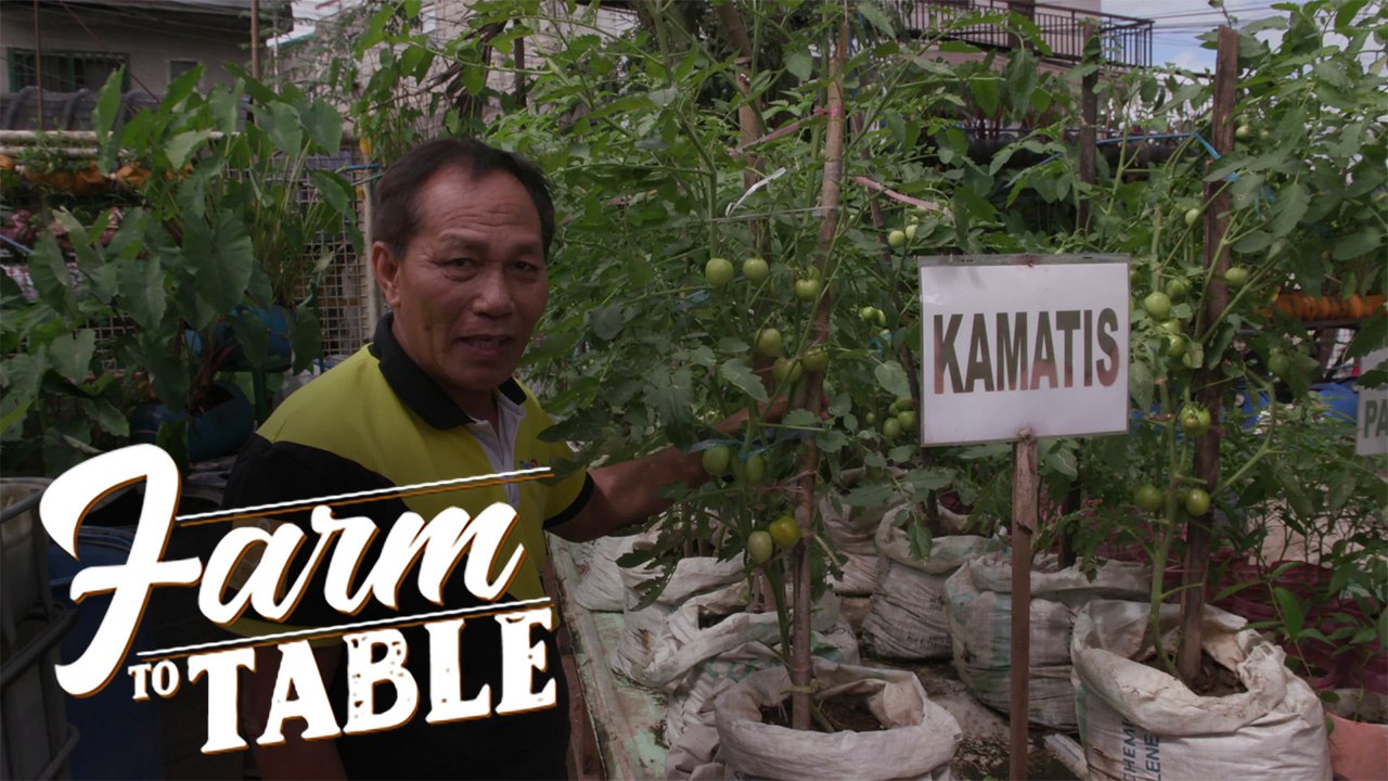 Grow It Yourself - Learn how to plant TOMATOES the right way! | Farm To Table