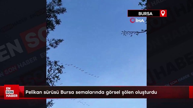 Pelikan sürüsü Bursa semalarında görsel şölen oluşturdu