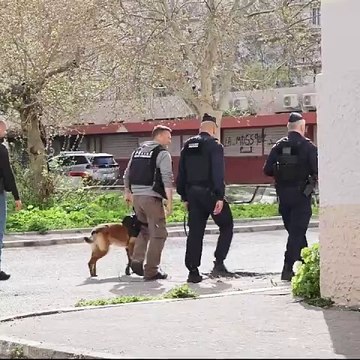 Police nationale - Opération Place Nette Marseille (13) Faire place nette, c’est démanteler les trafics qui gangrènent certains quartiers