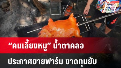 “คนเลี้ยงหมู” น้ำตาคลอ ประกาศขายฟาร์ม ขาดทุนยับ | เที่ยงทันข่าว | 25 มี.ค. 67
