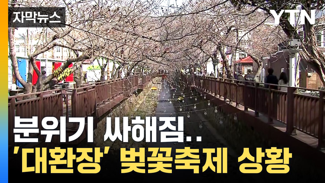 [자막뉴스] 이럴 수가...너무나 민망한 벚꽃축제 현장 / YTN