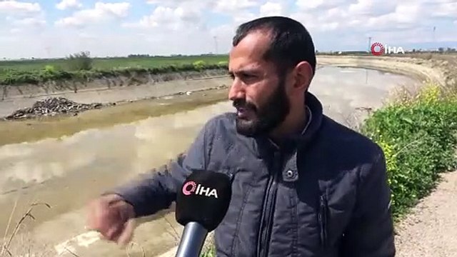 Rezalet! Su kanalında yüzlerce at ve eşek kemiği bulundu