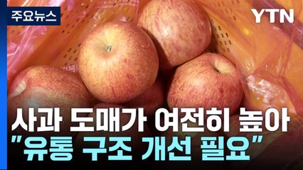 "금값 사과 문제는 유통 구조"...최상목 "대책 마련할 것" / YTN