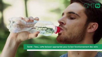 [#Reportage] Santé : l'eau, cette boisson appropriée pour le bon fonctionnement des reins