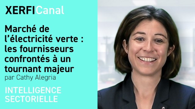 Marché de l’électricité verte : les fournisseurs confrontés à un tournant majeur [Cathy Alegria]