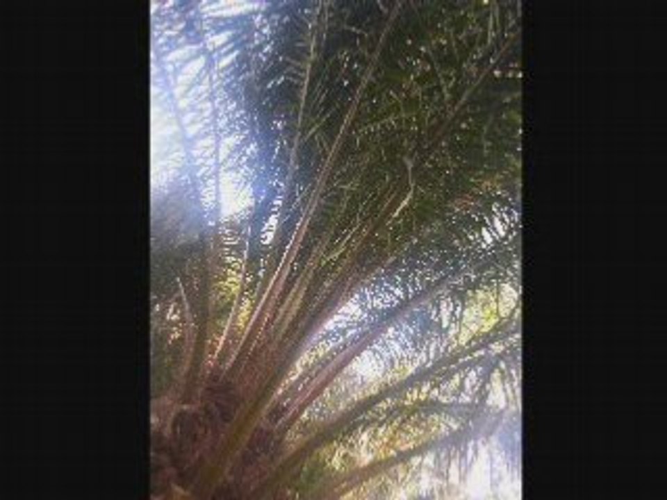 progression "z'enfants- abandonnés