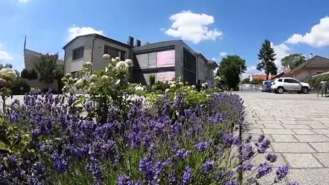 Amalgamverbot in Europa lässt jetzt bereits Zahntourismus in Ungarn ansteigen