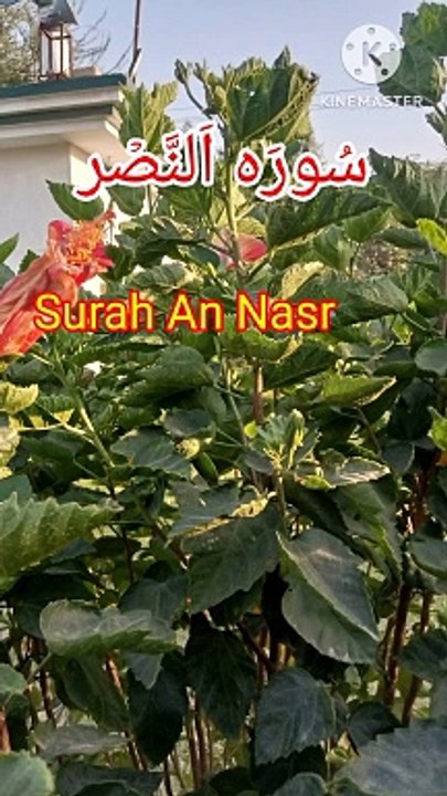 Surah an nasr | Surat ul nasr | Tilawat quran | Learn Quran | Bubak learn quran