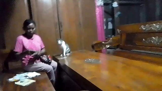 animals that obey their parents