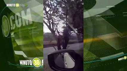 Ya recuperaron el cuerpo y la moto del conductor fallecido esta mañana en la autopista Sur