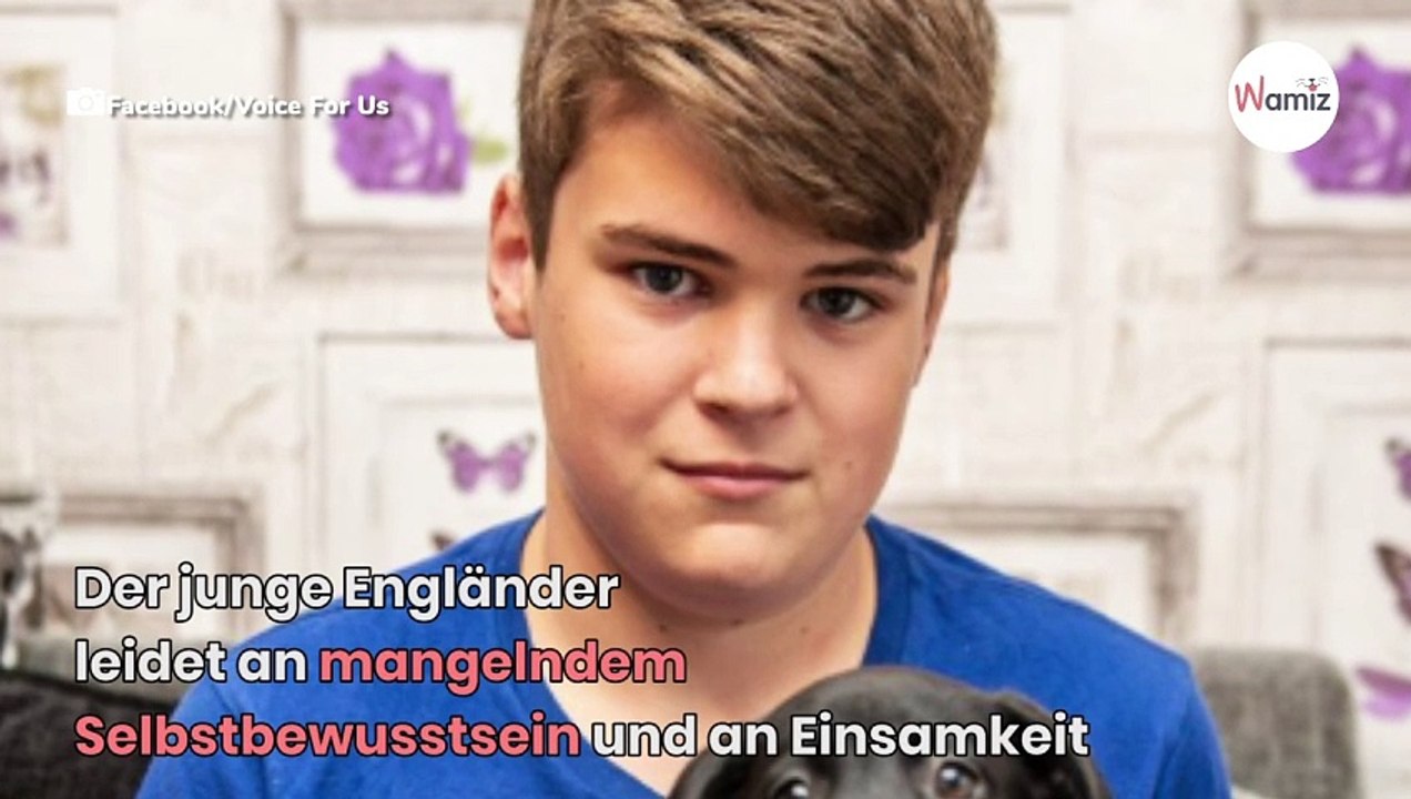 Junge adoptiert einen Labrador: Als sie seine Pfoten sehen, rasten alle komplett aus!