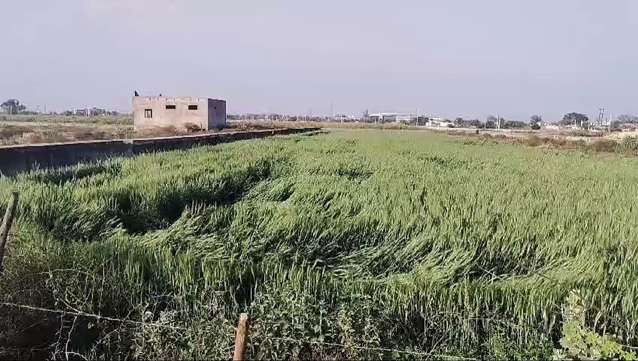ट्रांसपोर्ट नगर की करोड़ों की जमीन पर हो रही गे...
