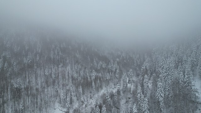 Türkiye’nin birçok kenti beyaza büründü
