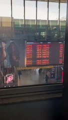 Le scritte comparse nelle stazioni italiane: "Siete insetti"