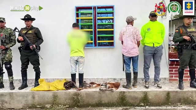 JUDICIALIZADOS PRESUNTOS RESPONSABLES DE LA MUERTE DE UN PUMA EN ZONA RURAL DEL VALLE DEL CAUCA