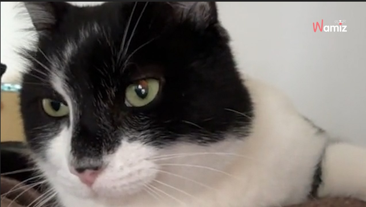 Une vacancière passe la nuit dans une vieille église : quand elle se réveille, elle n'est plus seule