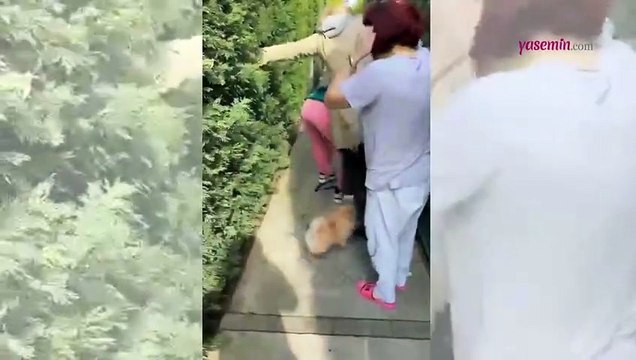 Banu Parlak'ın köpeği dehşet saçtı!