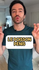 Toute ressemblance avec des faits et des personnages existants ou ayant existé serait purement fortuite…