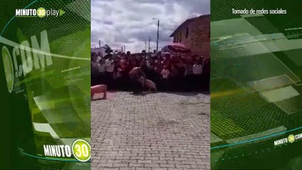Espectáculo cruel y decadente senadora denunció la utilización de cerdos en un evento en San Miguel de Sema